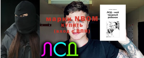соль ск Саяногорск