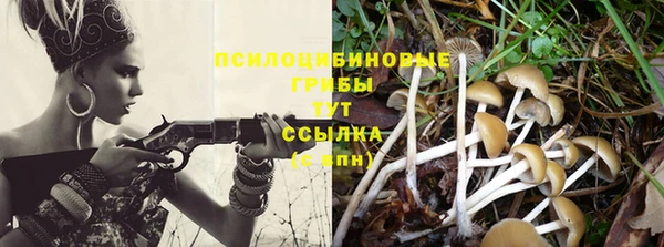 амфетамин Сафоново