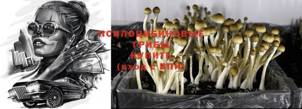эйфоретик Сатка