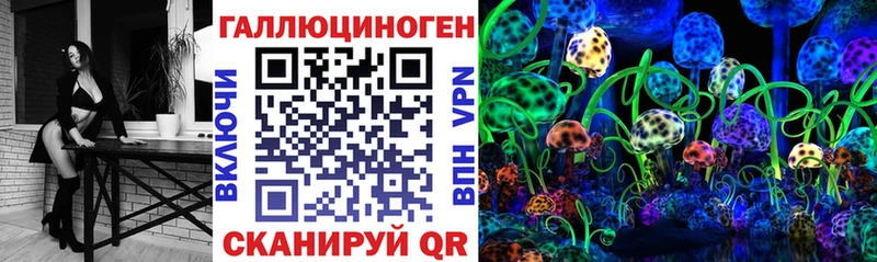 Псилоцибиновые грибы Psilocybine cubensis  Чекалин 